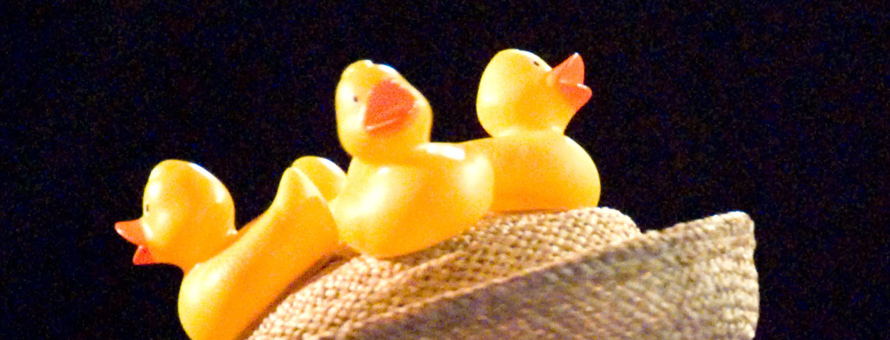 The Ugly Duckling